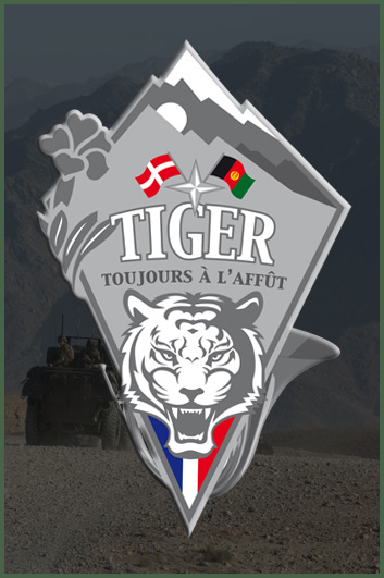 Tiger-01